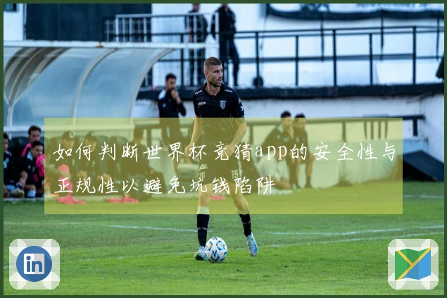 如何判断世界杯竞猜app的安全性与正规性以避免坑钱陷阱