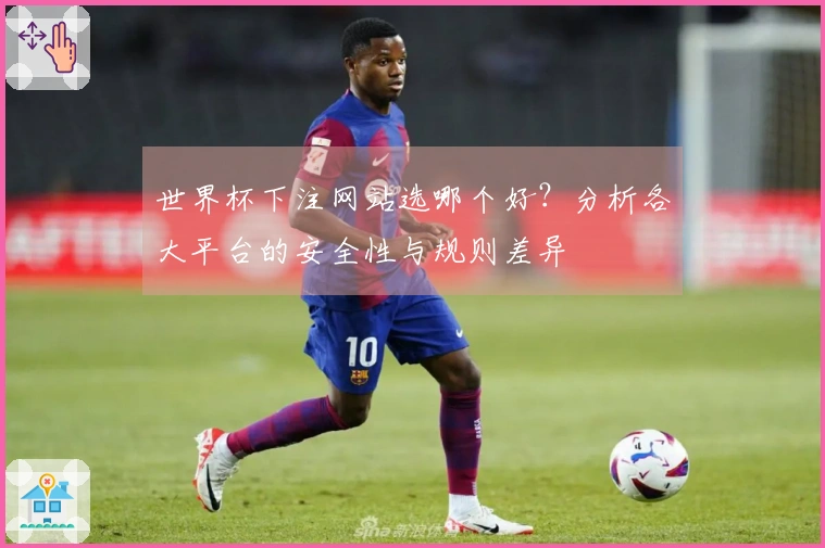 世界杯下注网站选哪个好？分析各大平台的安全性与规则差异