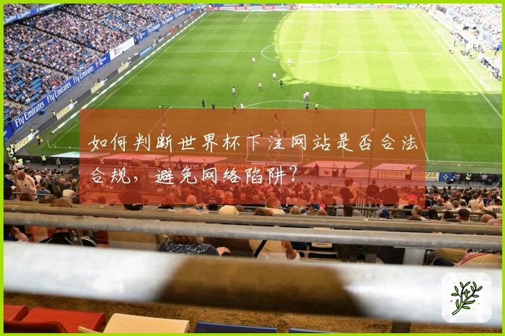 如何判断世界杯下注网站是否合法合规，避免网络陷阱？