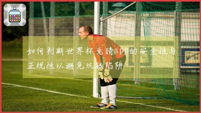 如何判断世界杯竞猜app的安全性与正规性以避免坑钱陷阱